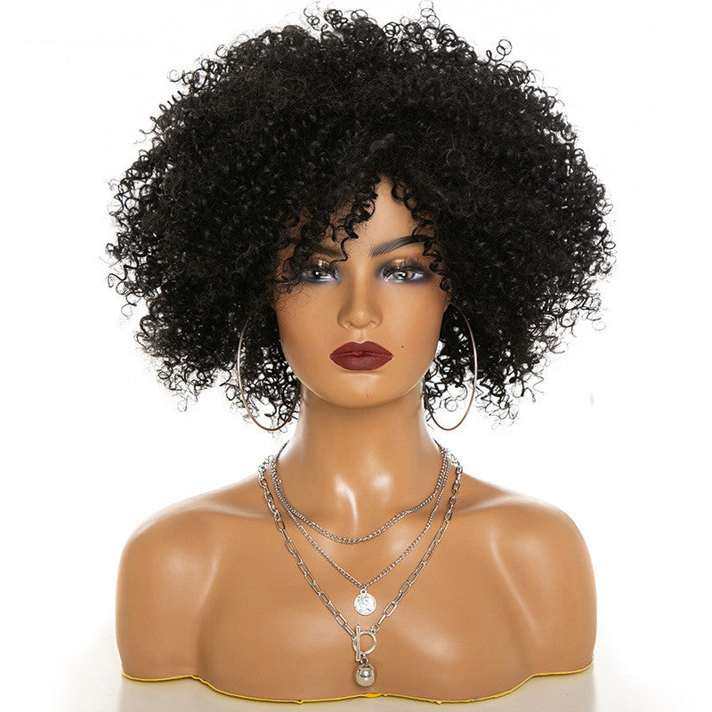 Afro Kinky Curly Hair Wig