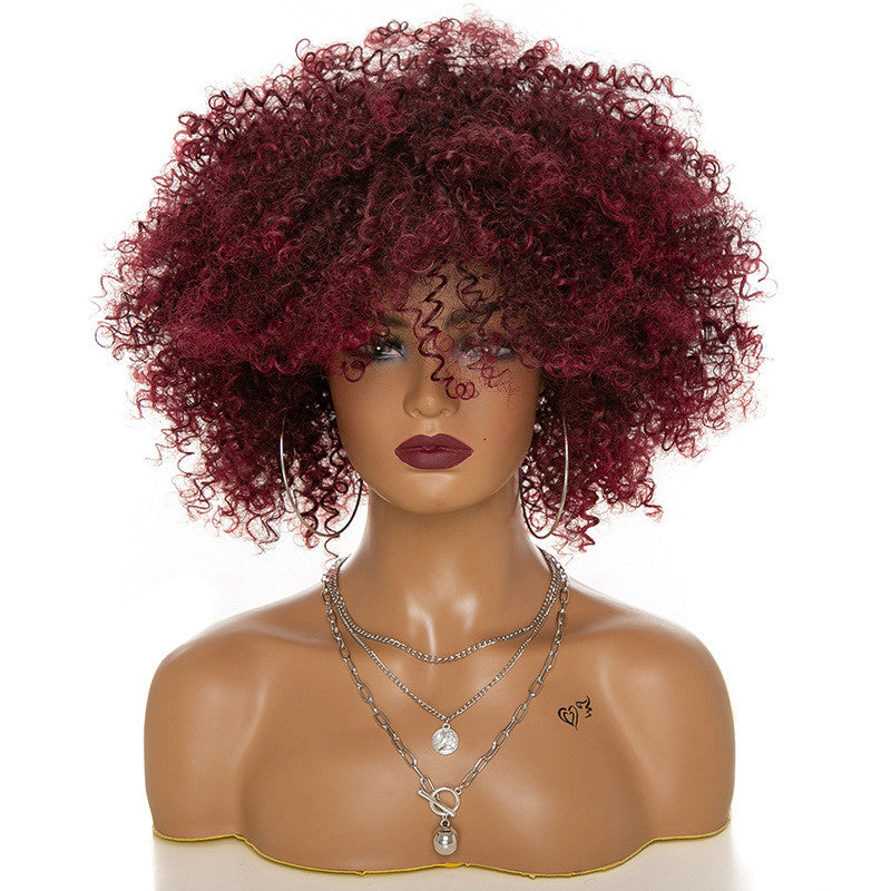 Afro Kinky Curly Hair Wig