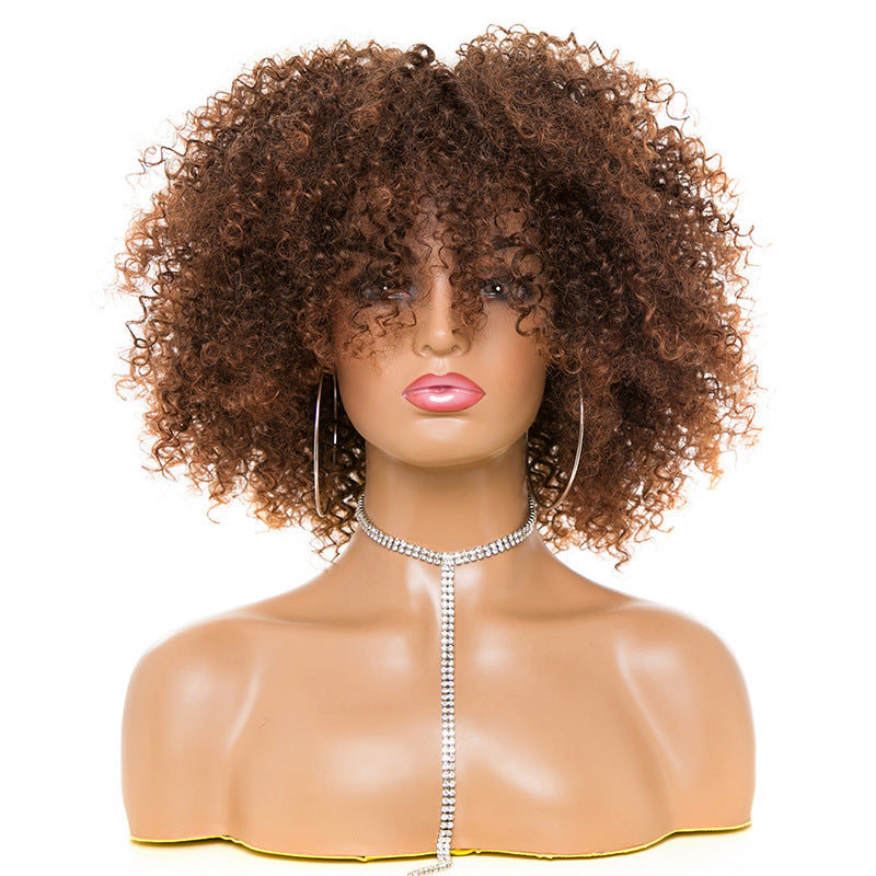 Afro Kinky Curly Hair Wig